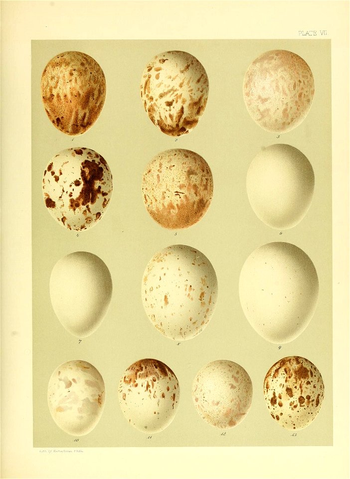 n454_w1150