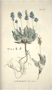 n156_w1150