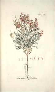 n140_w1150