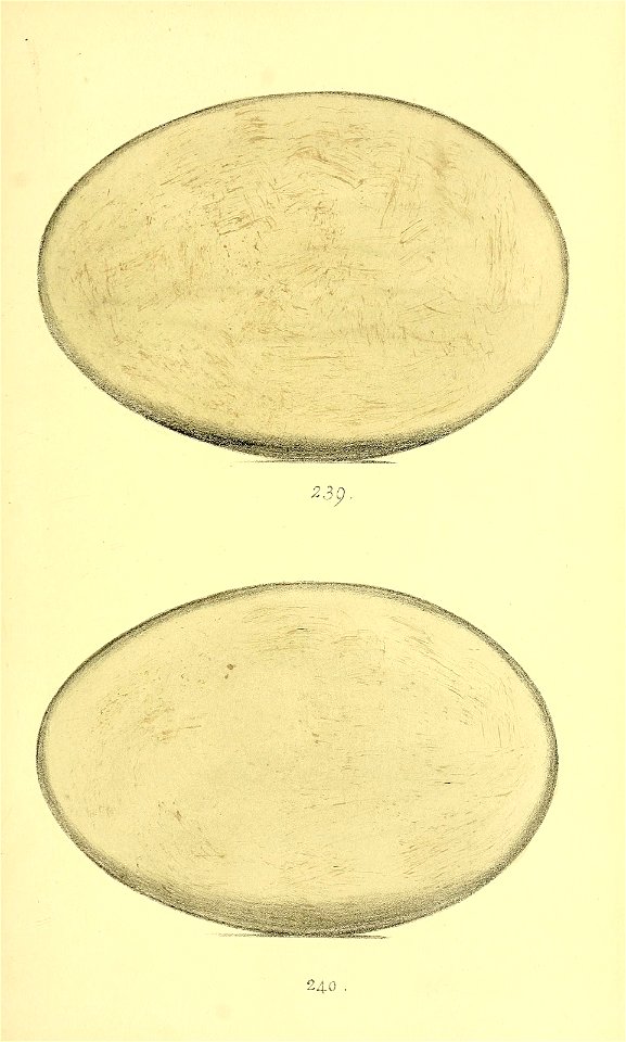 n104_w1150