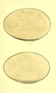 n104_w1150