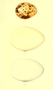 n32_w1150