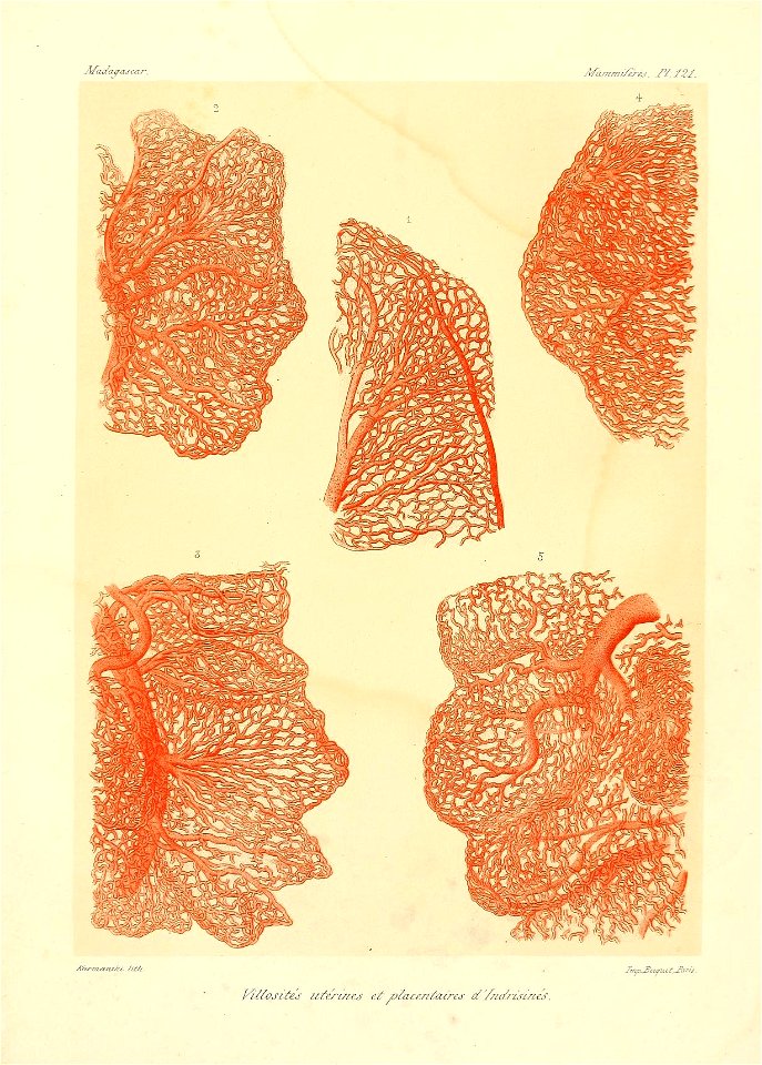 n254_w1150