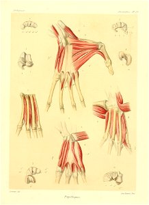 n156_w1150