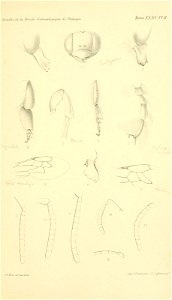 n522_w1150
