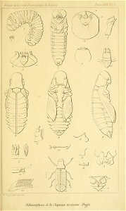 n452_w1150