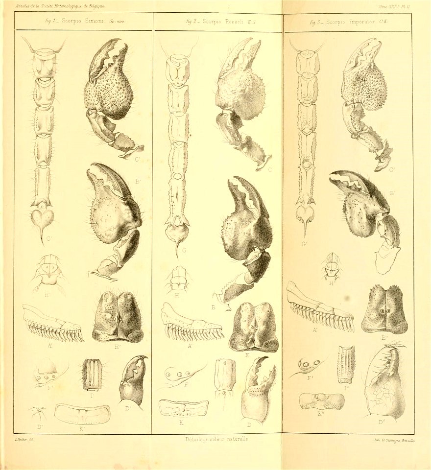 n332_w1150