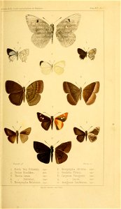 n156_w1150