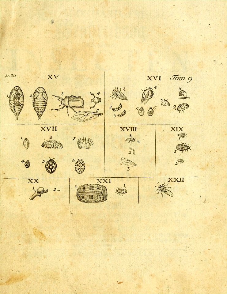 n446_w1150