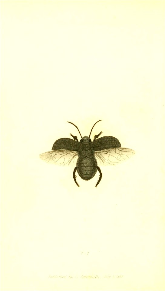 n177_w1150