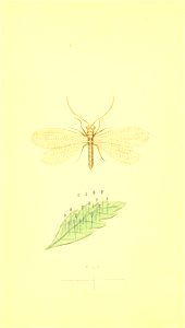 n45_w1150