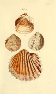 n46_w1150