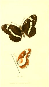 n657_w1150