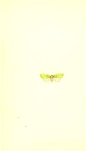 n165_w1150