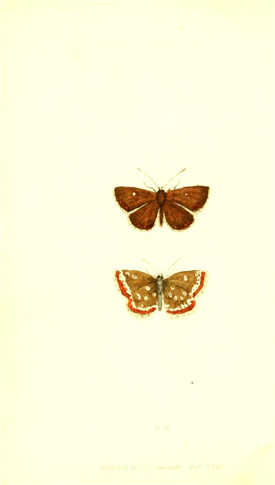n221_w1150