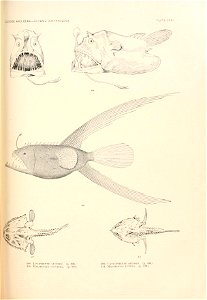n922_w1150