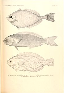 n802_w1150