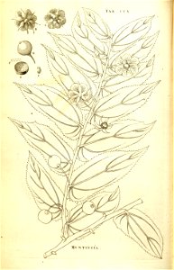 n157_w1150