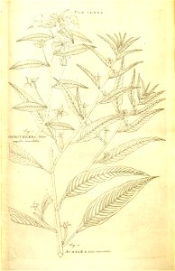 n97_w1150