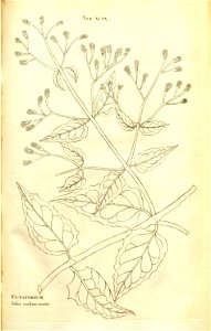 n189_w1150