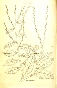 n185_w1150
