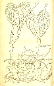n159_w1150