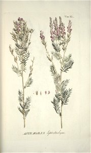 n143_w1150