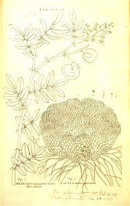 n149_w1150