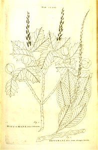 n89_w1150
