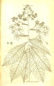 n154_w1150