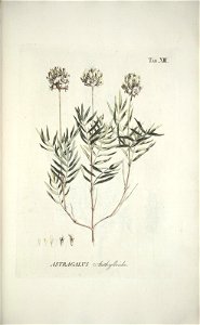 n112_w1150