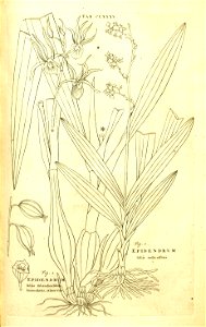n119_w1150