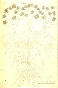 n241_w1150