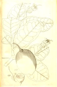 n212_w1150