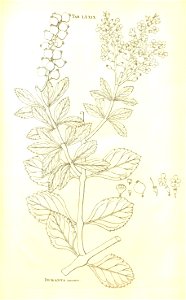 n153_w1150