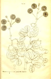 n11_w1150
