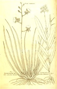 n116_w1150