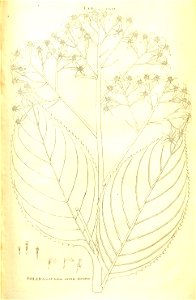 n56_w1150