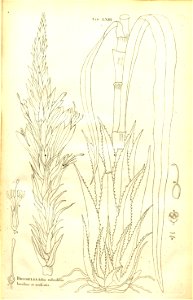 n120_w1150
