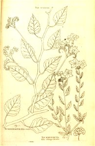 n207_w1150