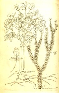 n173_w1150