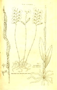 n115_w1150