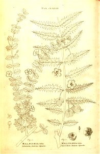 n82_w1150