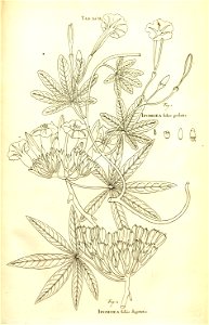 n176_w1150