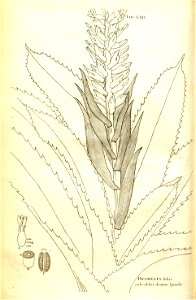 n117_w1150
