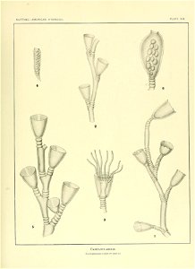n166_w1150