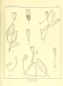 n136_w1150