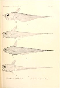 n874_w1150