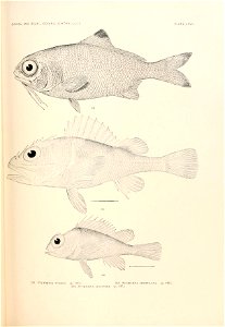 n814_w1150