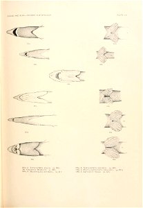 n784_w1150